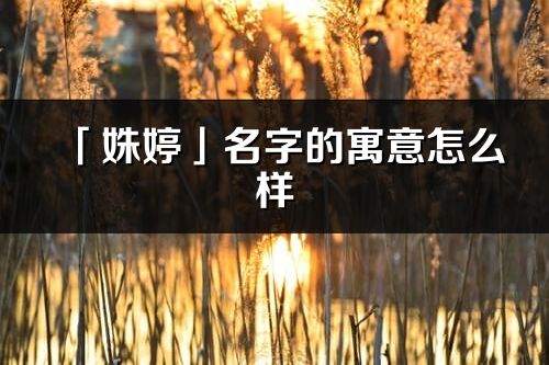 「姝婷」名字的寓意怎么样