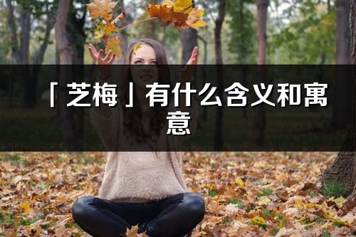 「芝梅」有什么含义和寓意