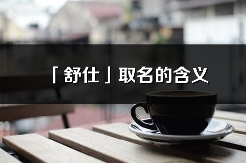 「舒仕」取名的含义