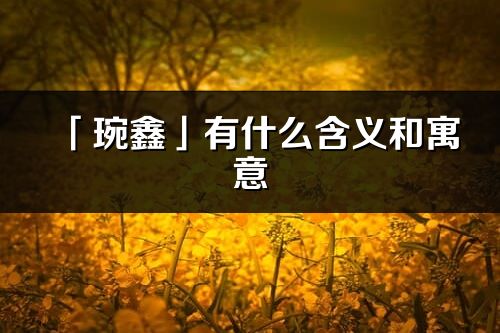 「琬鑫」有什么含义和寓意