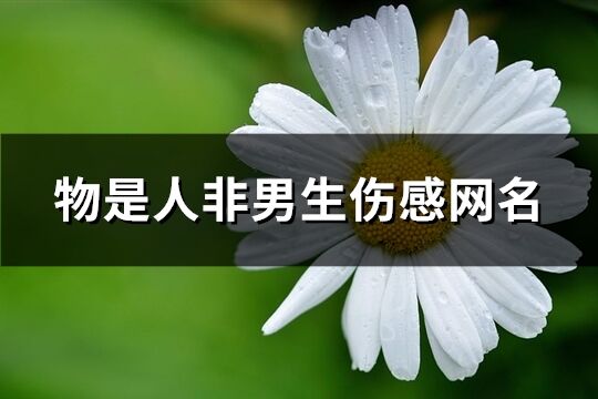 物是人非男生伤感网名(共185个)