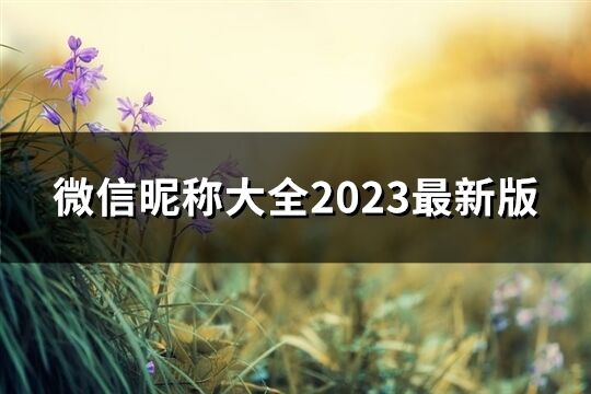 微信昵称大全2023最新版(1756个)