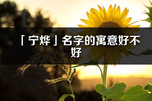 「宁烨」名字的寓意好不好