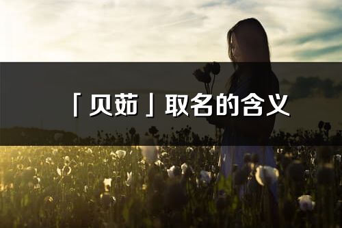 「贝茹」取名的含义