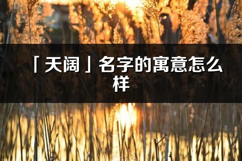 「天阔」名字的寓意怎么样