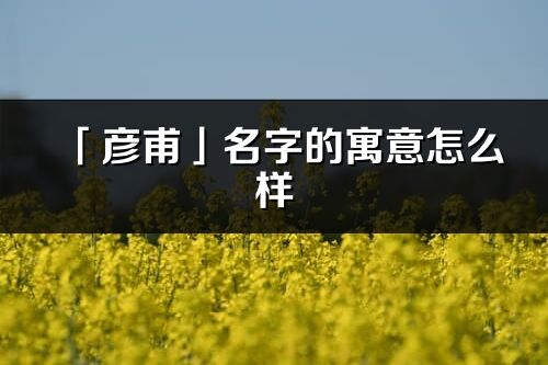 「彦甫」名字的寓意怎么样