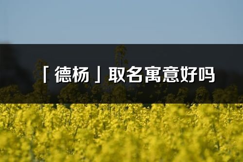 「德杨」取名寓意好吗