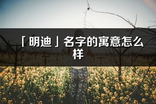 「明迪」名字的寓意怎么样