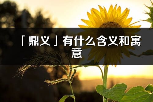 「鼎义」有什么含义和寓意