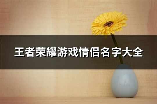 王者荣耀游戏情侣名字大全(572个)