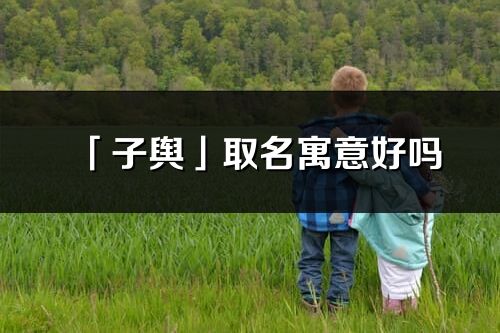 「子舆」取名寓意好吗