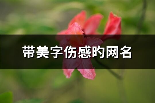 带美字伤感旳网名(169个)