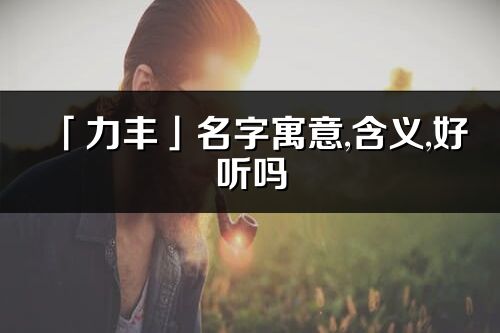 「力丰」名字寓意,含义,好听吗