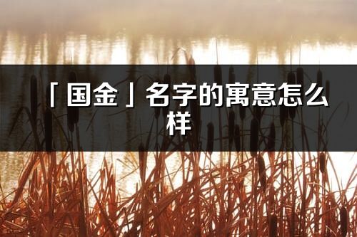 「国金」名字的寓意怎么样