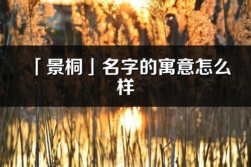 「景桐」名字的寓意怎么样