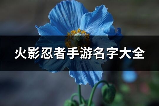 火影忍者手游名字大全(精选174个)