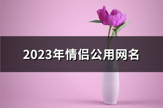 2023年情侣公用网名(共428个)