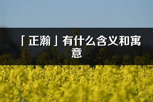 「正瀚」有什么含义和寓意