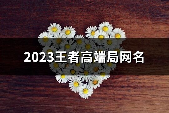 2023王者高端局网名(共399个)