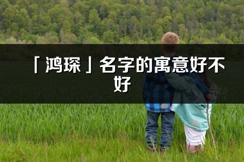 「鸿琛」名字的寓意好不好