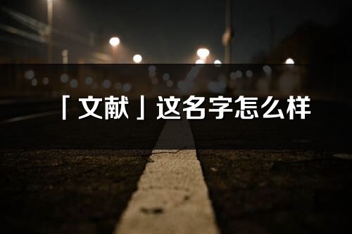 「文献」这名字怎么样