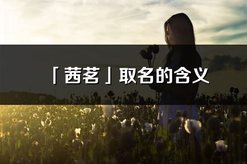 「茜茗」取名的含义