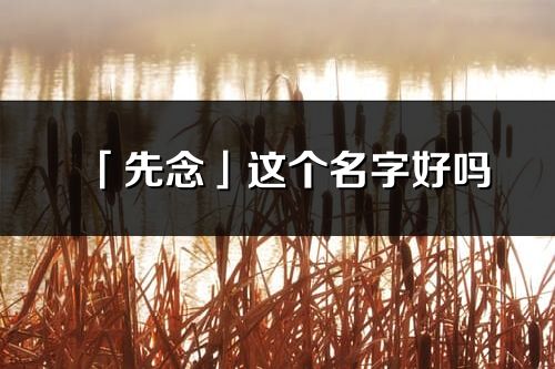 「先念」这个名字好吗