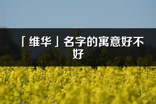 「维华」名字的寓意好不好