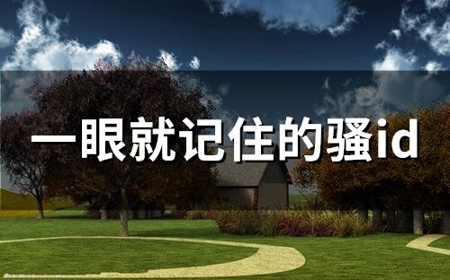 一眼就记住的骚id(精选118个)