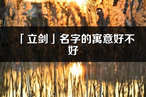 「立剑」名字的寓意好不好