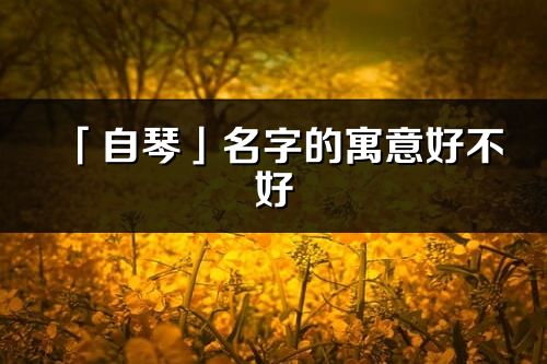 「自琴」名字的寓意好不好