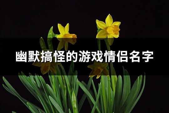 幽默搞怪的游戏情侣名字(精选102个)