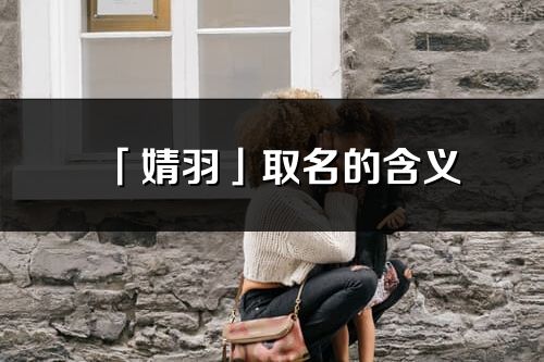 「婧羽」取名的含义