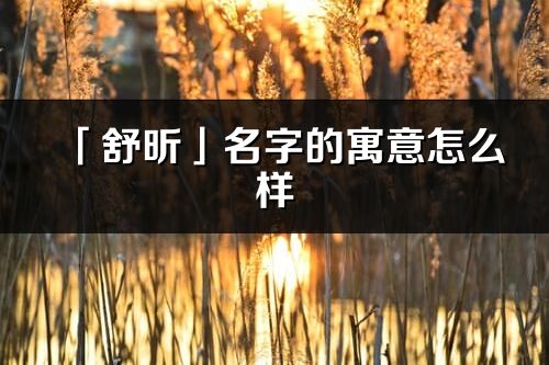 「舒昕」名字的寓意怎么样