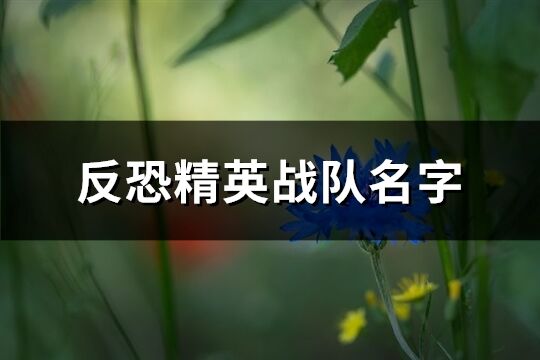 反恐精英战队名字(158个)