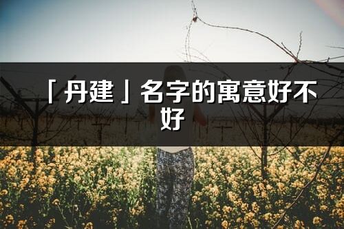 「丹建」名字的寓意好不好