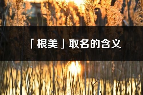 「根美」取名的含义