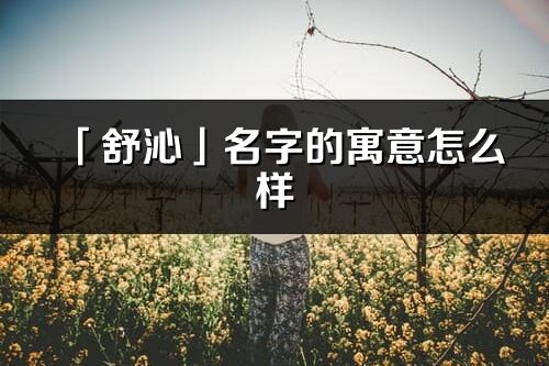 「舒沁」名字的寓意怎么样