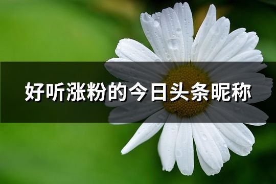 好听涨粉的今日头条昵称(精选37个)