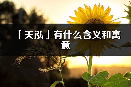 「天泓」有什么含义和寓意