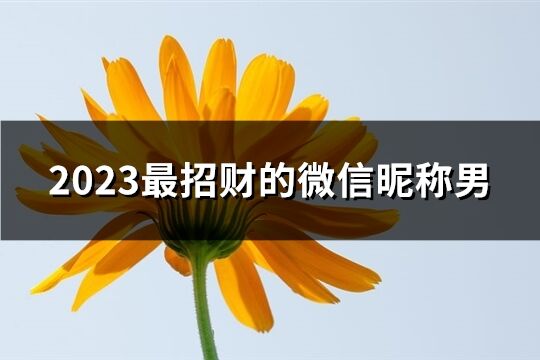 2023最招财的微信昵称男(共3303个)