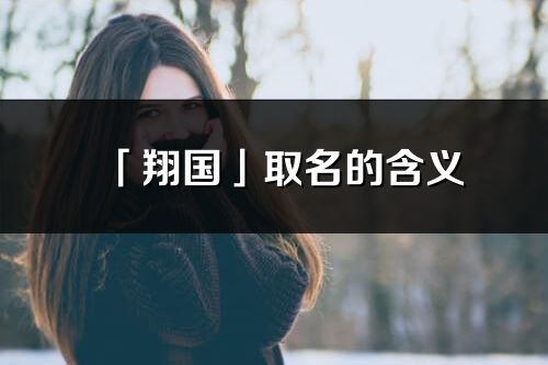 「翔国」取名的含义