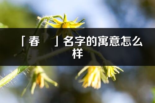 「春玥」名字的寓意怎么样