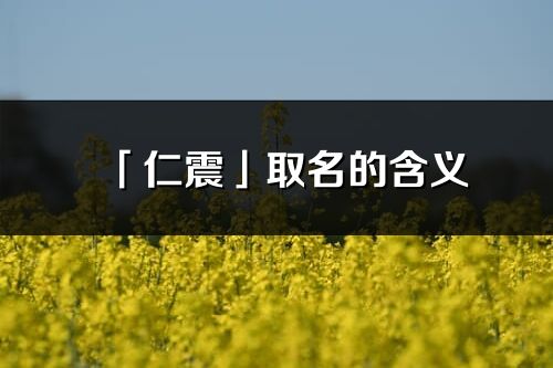 「仁震」取名的含义