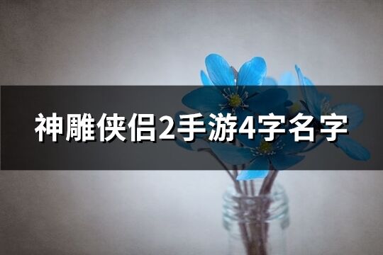 神雕侠侣2手游4字名字(精选294个)