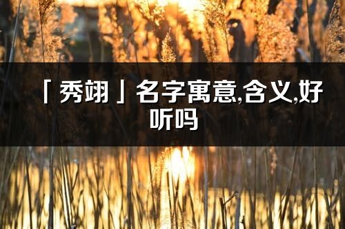 「秀翊」名字寓意,含义,好听吗