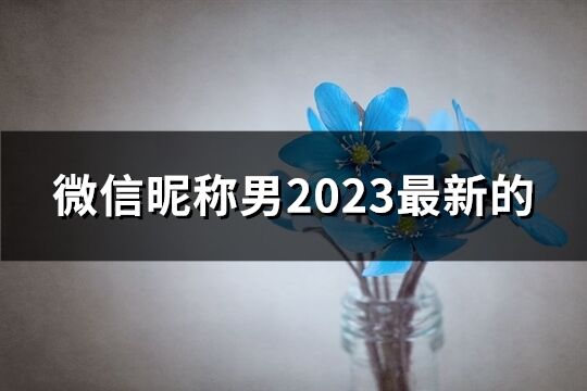 微信昵称男2023最新的(共3004个)