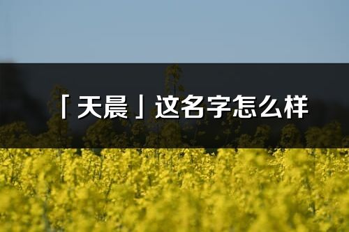 「天晨」这名字怎么样