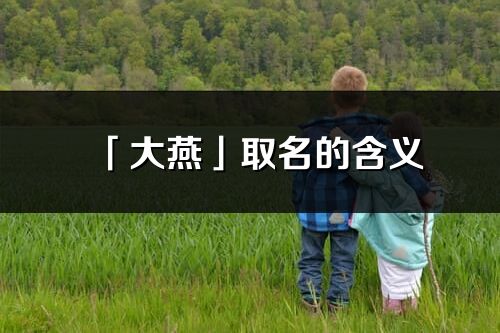 「大燕」取名的含义