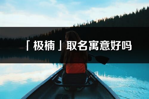 「极楠」取名寓意好吗